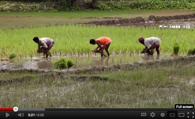 FARMD Annual Conference Introduction Video - Vietnamese